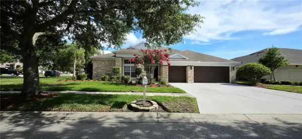 25638 Ferdinand Court, Wesley Chapel, FL, 33544