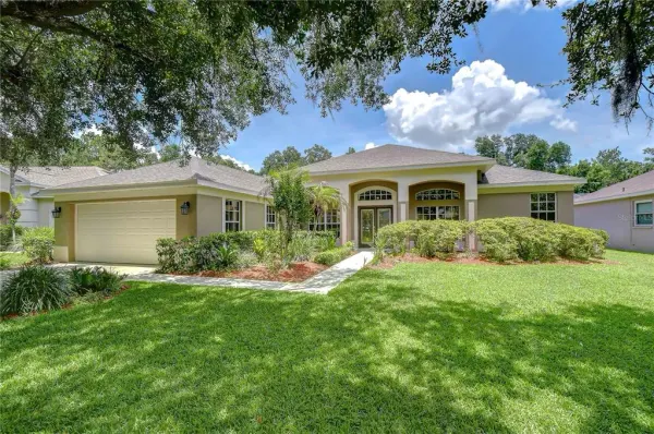 3512 Cordgrass Drive, Valrico, FL, 33596