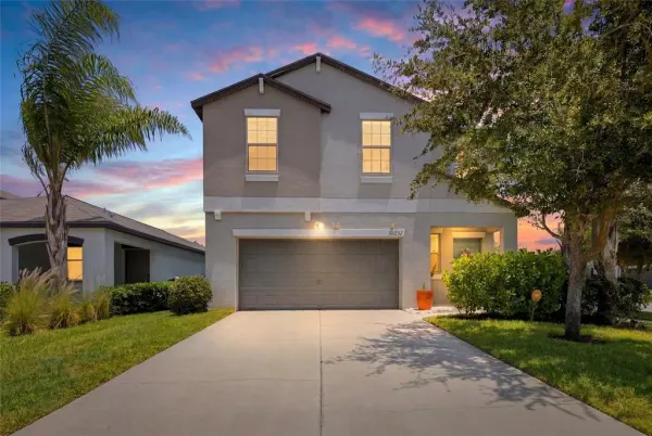 10232 Cool Waterlily Avenue, Riverview, FL, 33578