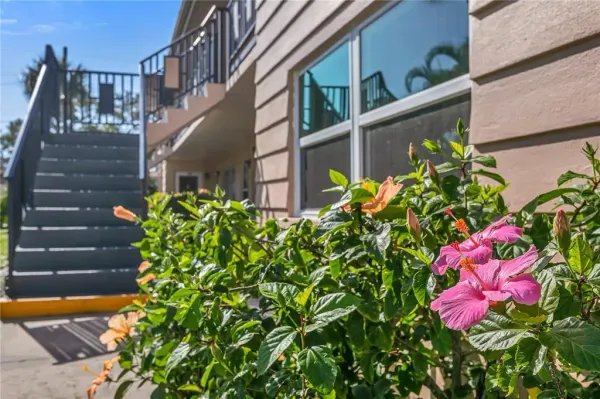 216 36th Avenue N, Unit 202b, St Petersburg, FL, 33704