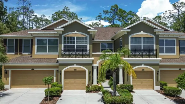 12658 Silverdale Street, Tampa, FL, 33626