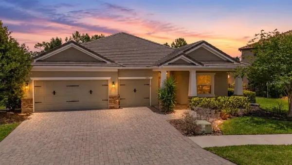 11882 FROST ASTER DRIVE, RIVERVIEW, FL, 33579