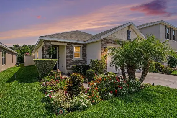 11453 Stone Pine Street, Riverview, FL, 33569