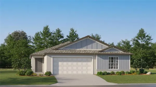 32939 Twin Flowers Avenue, Wesley Chapel, FL, 33545