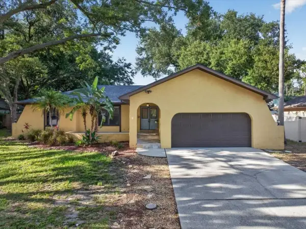 2883 Mandarin Place, Palm Harbor, FL, 34684