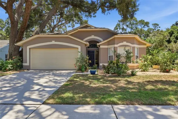 5724 Erhardt Drive, Riverview, FL, 33578