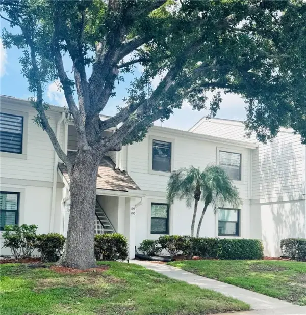 106 Windward Place, Oldsmar, FL, 34677