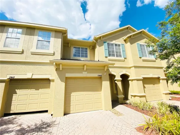 17449 Stinchar Drive, Land O Lakes, FL, 34638