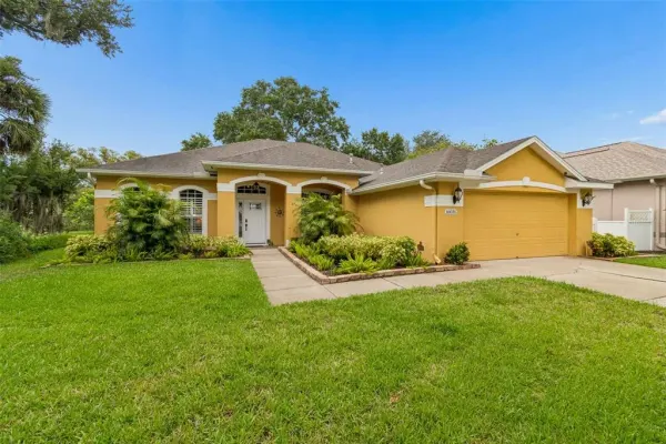 10035 Remington Drive, Riverview, FL, 33578