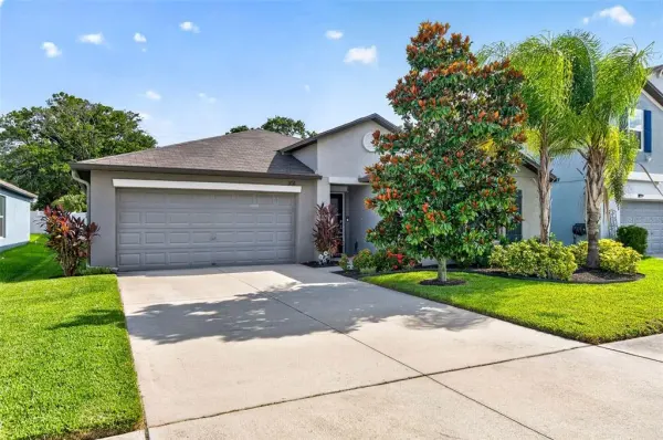 3716 Cat Mint Street, Tampa, FL, 33619