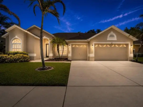 7221 Bucks Ford Drive, Riverview, FL, 33578