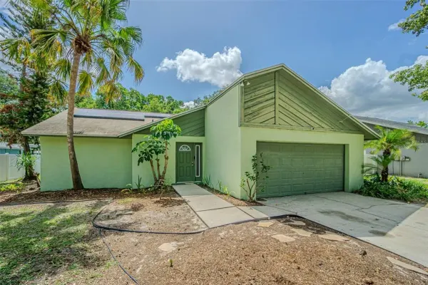18425 Swan Lake Drive, Lutz, FL, 33549
