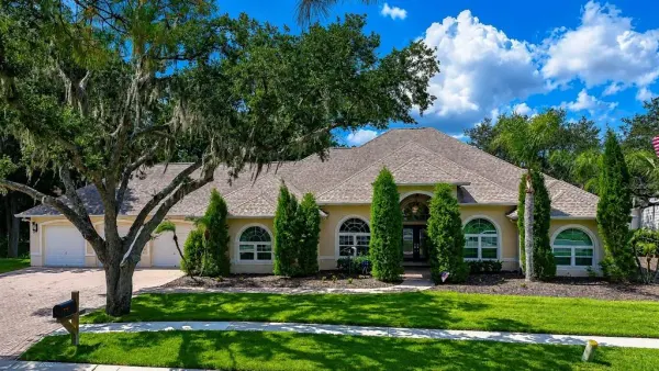 1009 Emerald Creek Drive, Valrico, FL, 33596