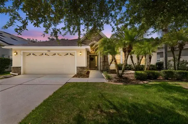 7308 Ambleside Drive, Land O Lakes, FL, 34637