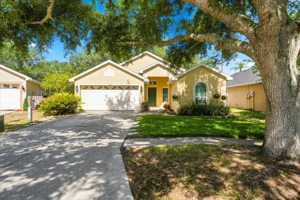 4532 Wild Plum Lane, Lutz, FL, 33558