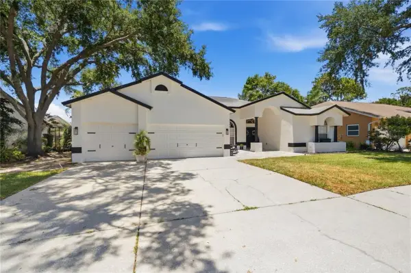 4149 Ridgemoor Drive N, Palm Harbor, FL, 34685