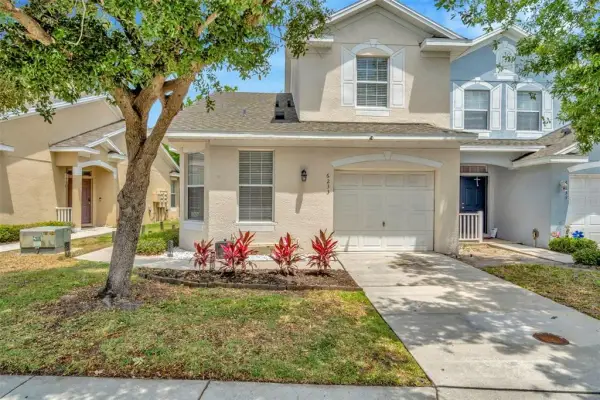 6233 Olivedale Drive, Riverview, FL, 33578