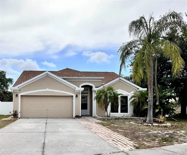 1650 Navigator Lane, Tarpon Springs, FL, 34689