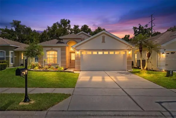 2913 Banyan Hill Lane, Land O Lakes, FL, 34639