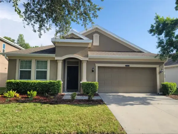 21613 Southern Charm Drive, Unit Dr, Land O Lakes, FL, 34637