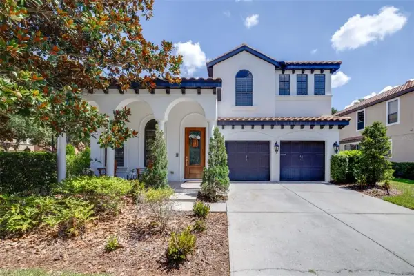 20302 Chestnut Grove Drive, Tampa, FL, 33647