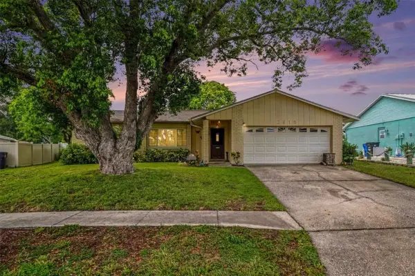 2815 Linden Tree Street, Seffner, FL, 33584