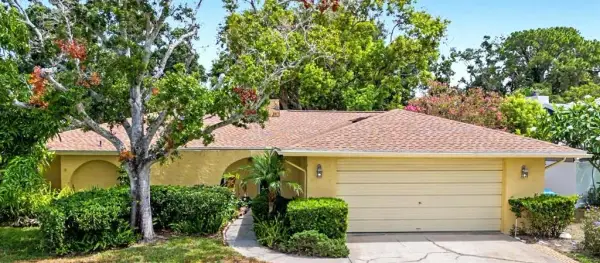 1100 Persimmon Drive, Palm Harbor, FL, 34683