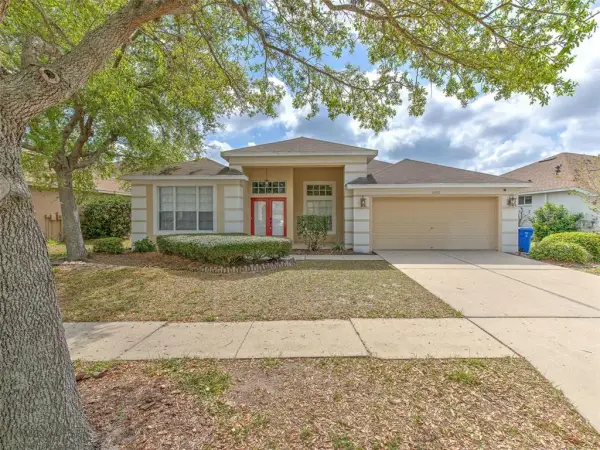 10907 Australian Pine Drive, Riverview, FL, 33579