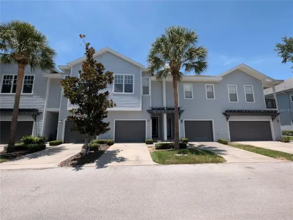 8319 King Blossom Court, Tampa, FL, 33615