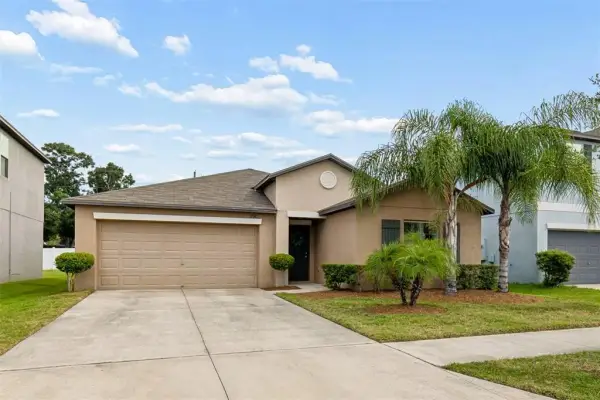 3706 Cat Mint Street, Tampa, FL, 33619