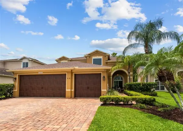 15908 King James Court, Odessa, FL, 33556