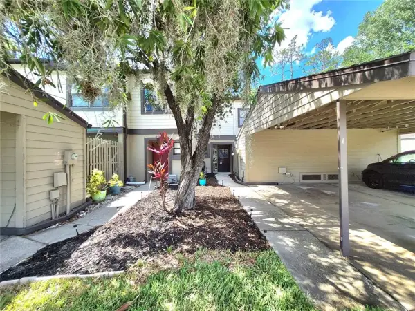 205 Woods Landing Trail, Oldsmar, FL, 34677