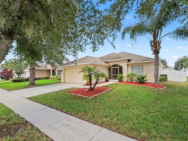 2620 Buckhorn Preserve Boulevard, Valrico, FL, 33596