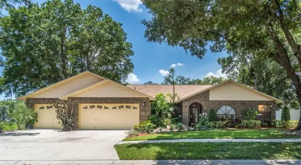 714 Pennyroyal Place, Brandon, FL, 33510