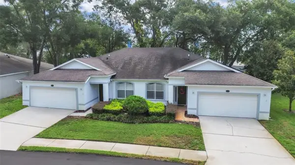8609 Alexandra Arbor Lane, Temple Terrace, FL, 33637