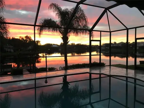 18018 Java Isle Drive, Tampa, FL, 33647