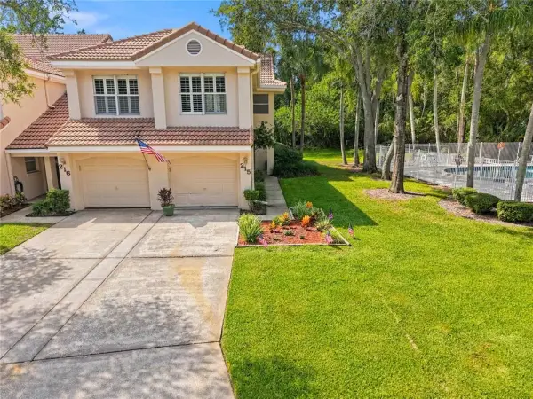 215 Clays Trail, Oldsmar, FL, 34677
