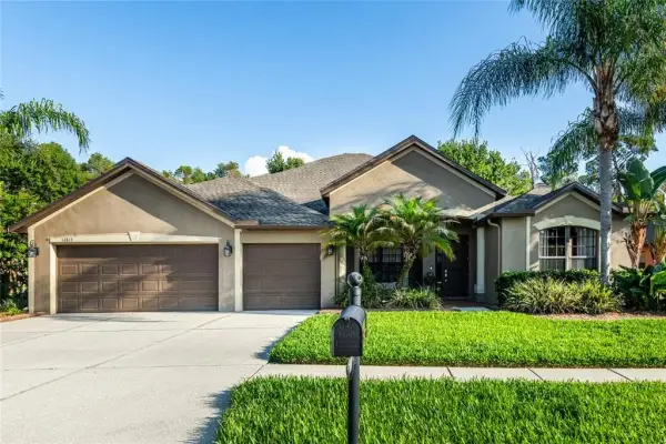 14815 Ninebark Court, Land O Lakes, FL, 34638