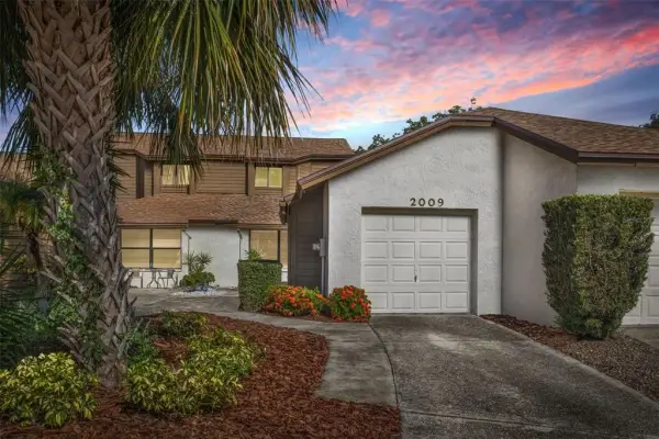 2009 Philippe Court, Safety Harbor, FL, 34695
