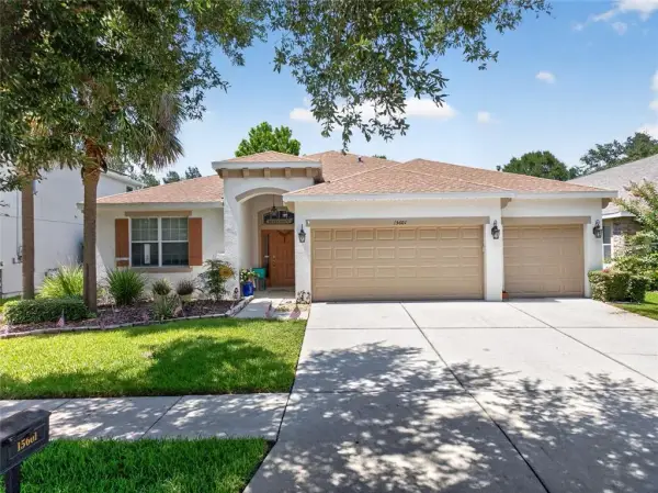 15601 Starling Water Drive, Lithia, FL, 33547