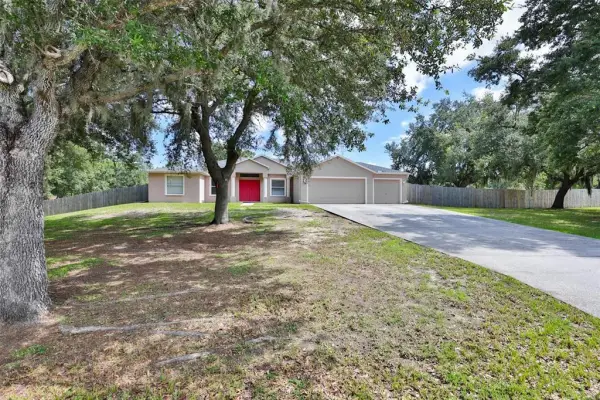 10234 Bloomfield Hills Drive, Seffner, FL, 33584