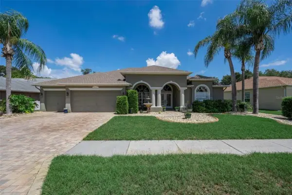 8843 Bel Meadow Way, Trinity, FL, 34655