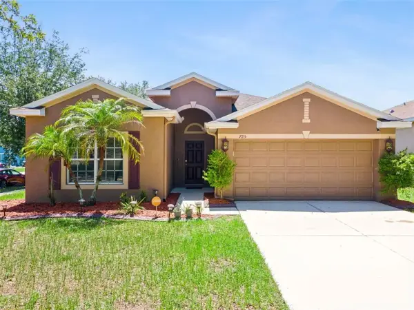 725 Star Pointe Drive, Seffner, FL, 33584