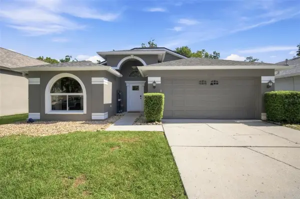 19517 Ardwick Way, Land O Lakes, FL, 34638