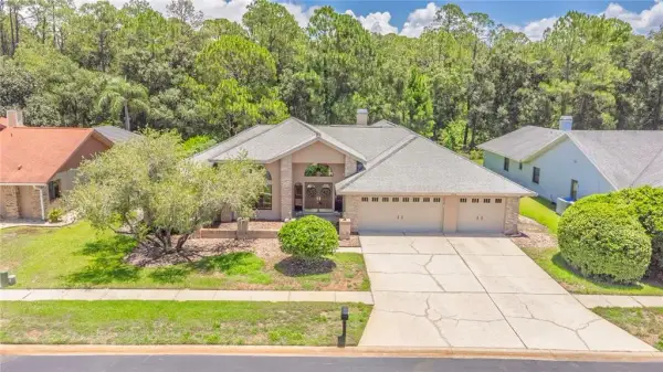 3792 Windber Boulevard, Palm Harbor, FL, 34685