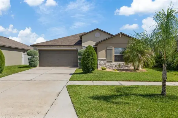 11803 Blackeyed Susan Drive, Riverview, FL, 33579