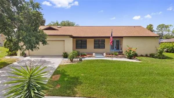 2311 Long Green Court, Valrico, FL, 33596
