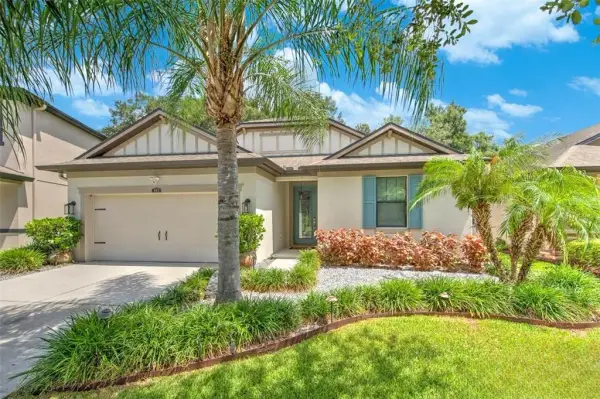 842 Vino Verde Circle, Brandon, FL, 33511