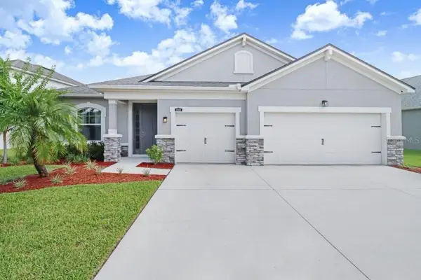 11520 Blue Woods Drive, Riverview, FL, 33569