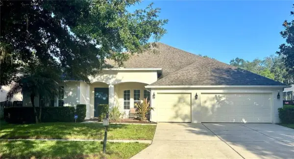 307 Carriage Oak Pl, Seffner, FL, 33584